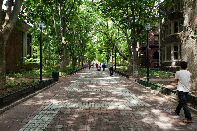 University of Pennsylvania's Locust Walk. Source: Alan Turkus.